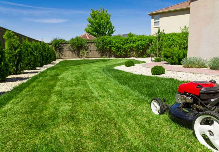 Photograph of lawn mower on the green grass. Mower is located on the right side of the photograph with view on grass field.