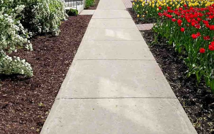 Straight concrete sidewalk surrounded by 2 paths of flower beddings