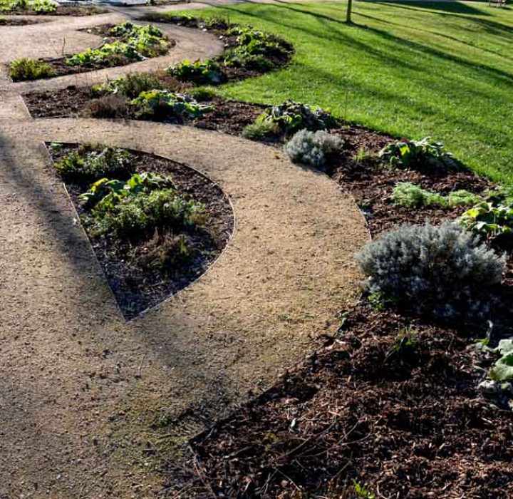 public, herb, nature garden with metal corten numbers. Individual herbs and perennials grow under numbers. Labyrinth of park paths in shape of concentric circle, beige sand arches, dog, cat, medicine, labyrinth