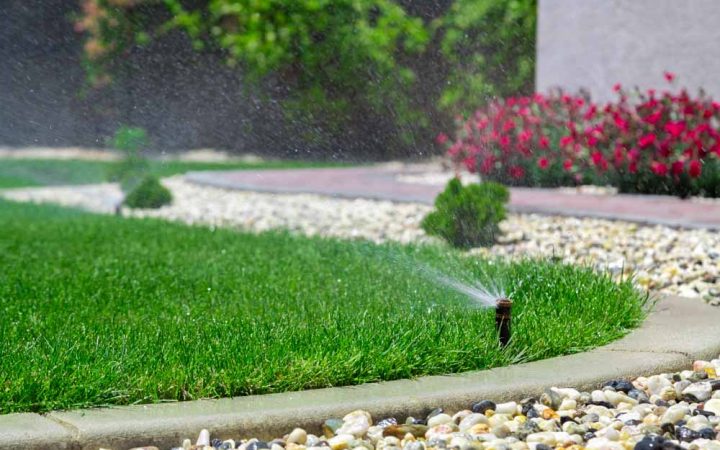 Automatic sprinklers watering grass and flowering plants on a lawn